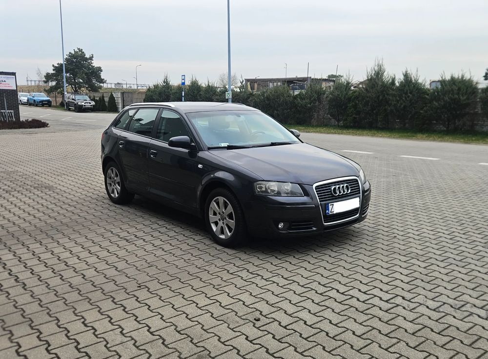 Audi A3 8P 1.8 TFSI Ambition 2007