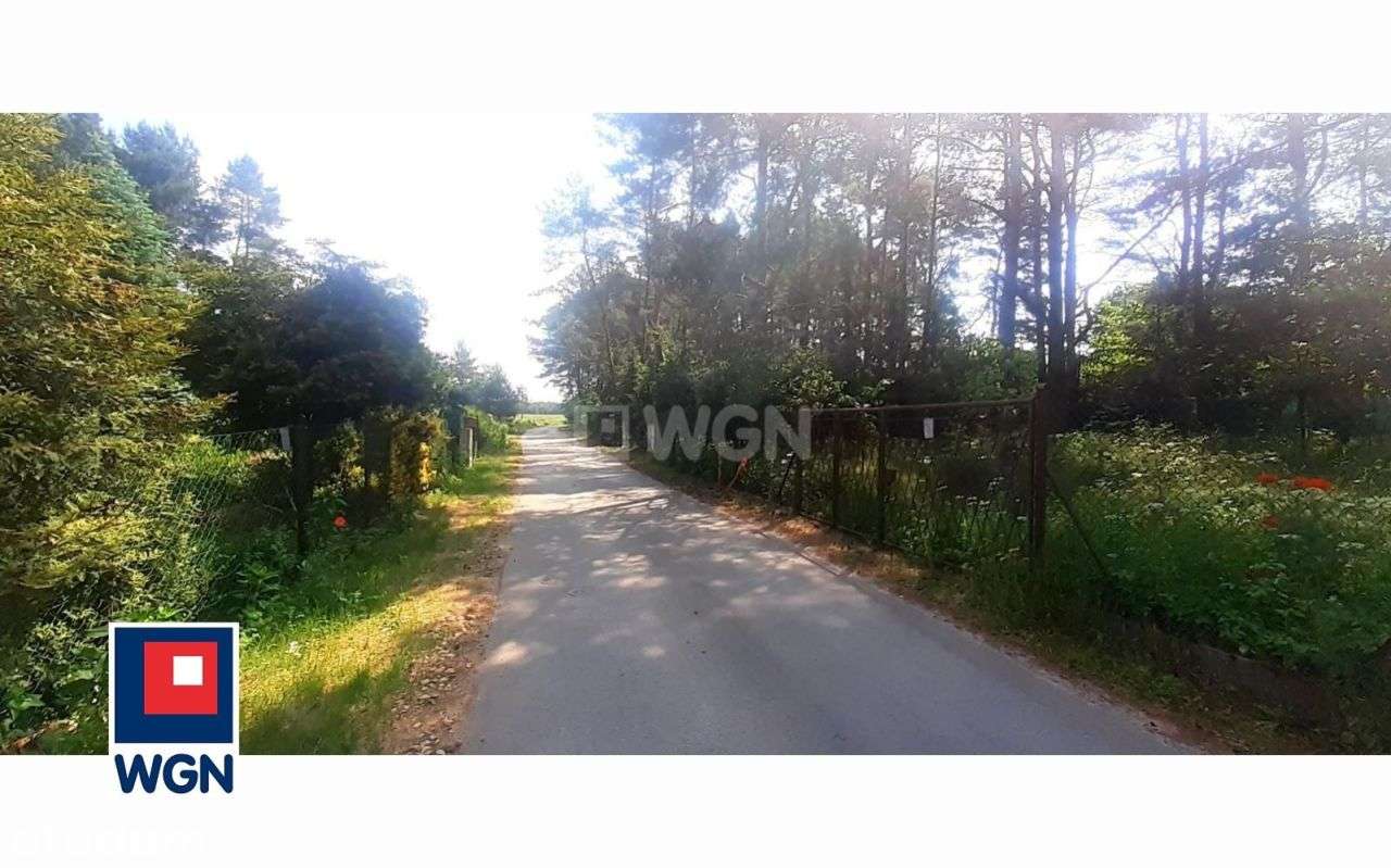 Działka letniskowa w lesie - Pełny obrazek: 5/15