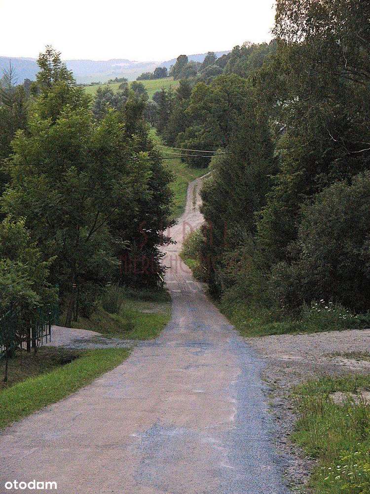 Bieszczady/gmina Komańcza/działka widokowa - Pełny obrazek: 4/6