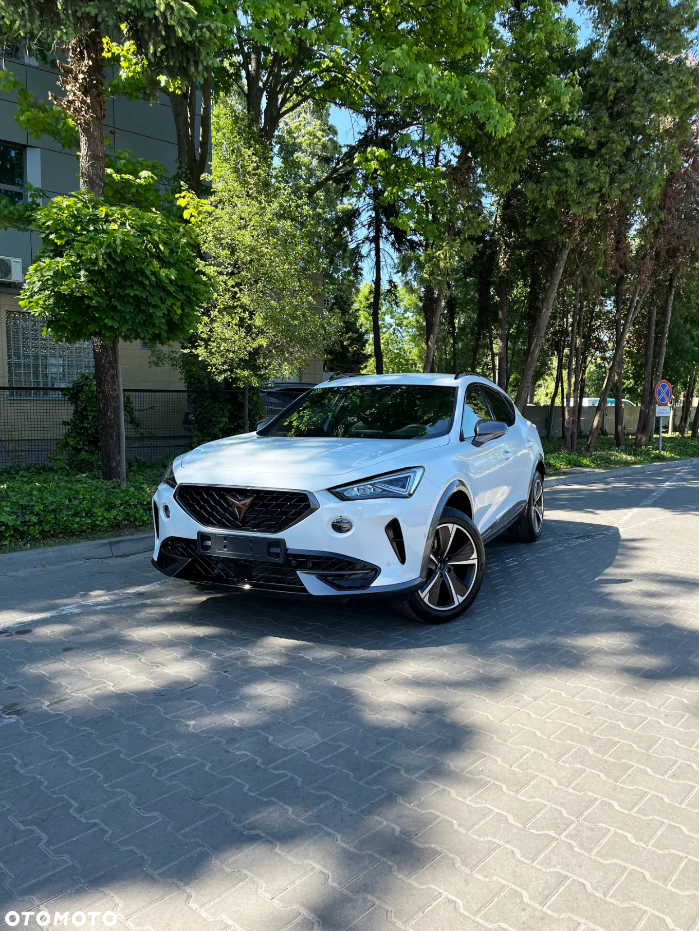 Cupra Formentor 1.5 TSI DSG - 3