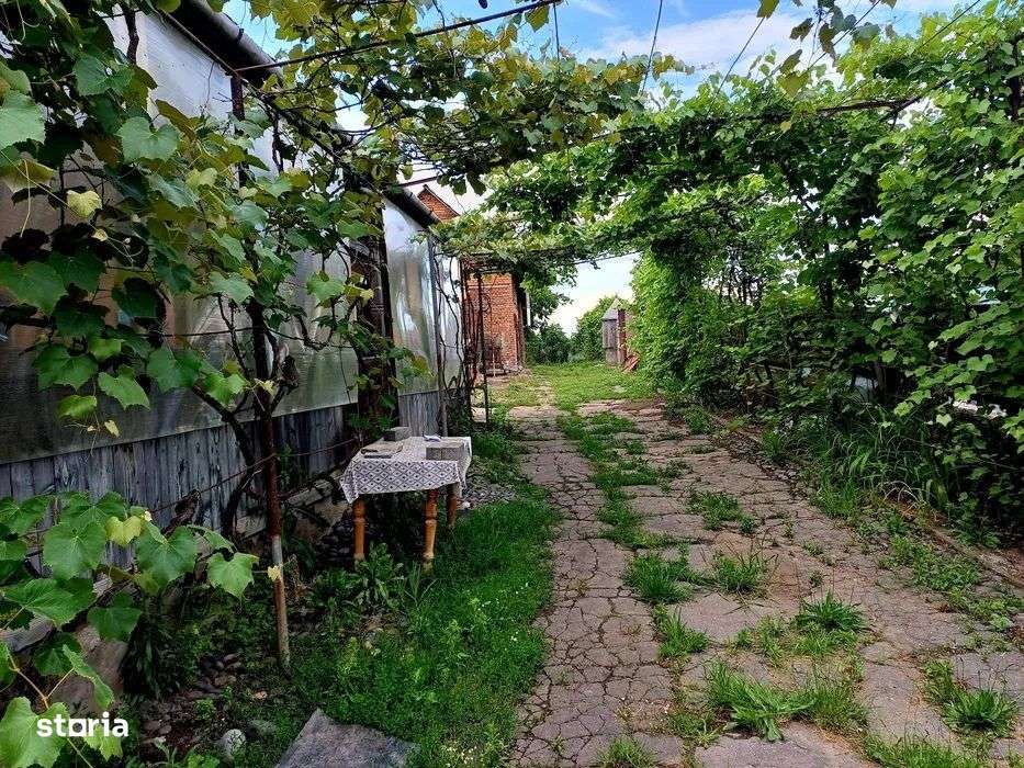 Sangeorgiu de Mures - Vanzare casa batraneasca - Str. Caminului - Imagine principală: 2/4