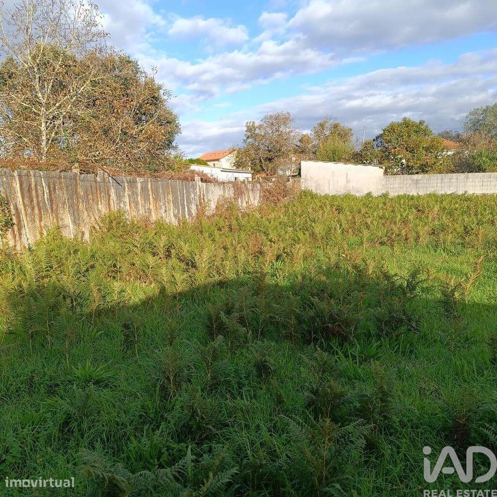 Terreno para construção em Campos e Vila Meã - Grande imagem: 5/20