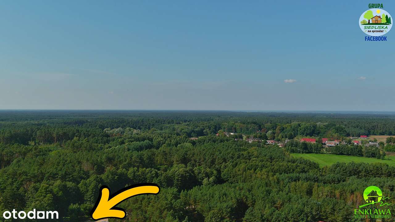 ENKLAWA prezentuje: działka w MEGA okolicy! PUSZCZA NOTECKA + jezioro! - Pełny obrazek: 5/20