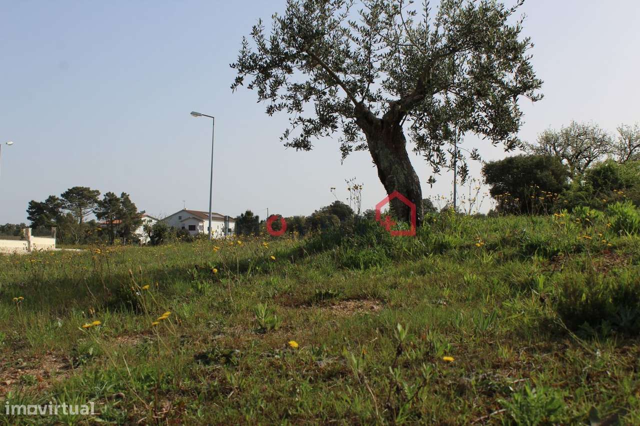 Lotes Construção Fátima Velha. - Grande imagem: 2/5
