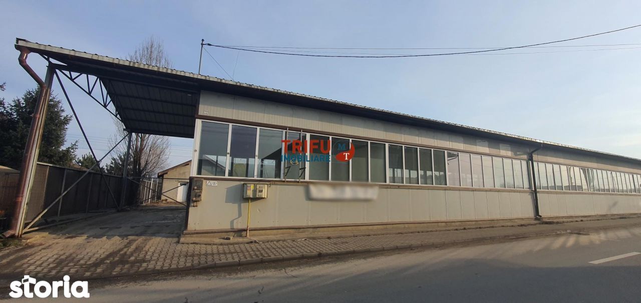 Hale industriale de inchiriat Alba Iulia