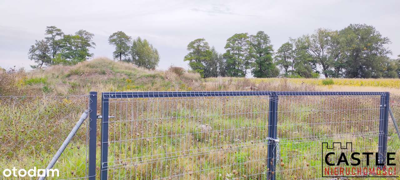 Pakiet działek inwestycyjnych - pod budowę hali z biurem! - Pełny obrazek: 5/17