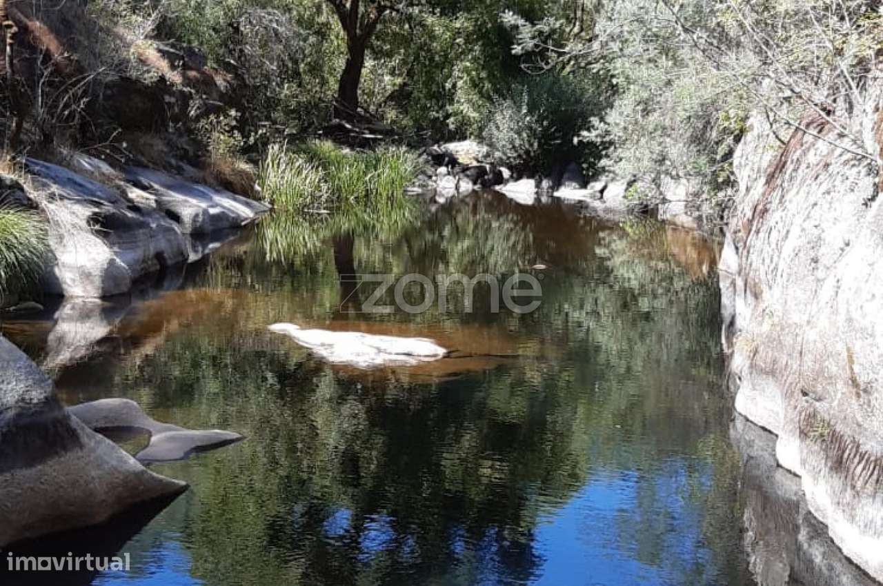 Quinta junto ao rio Seia - Grande imagem: 4/17