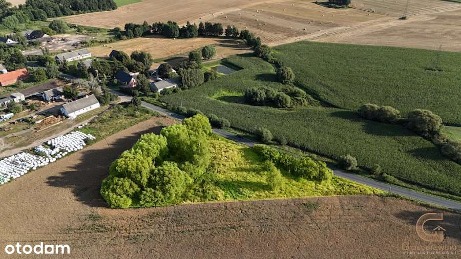 Działka budowlana 3614 m2 - Biechówko! - Pełny obrazek: 2/9