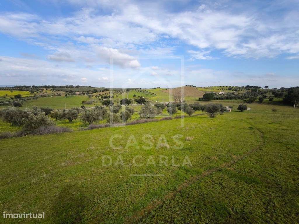 Terreno com 6000m2 em Vila Ruiva - Grande imagem: 4/12