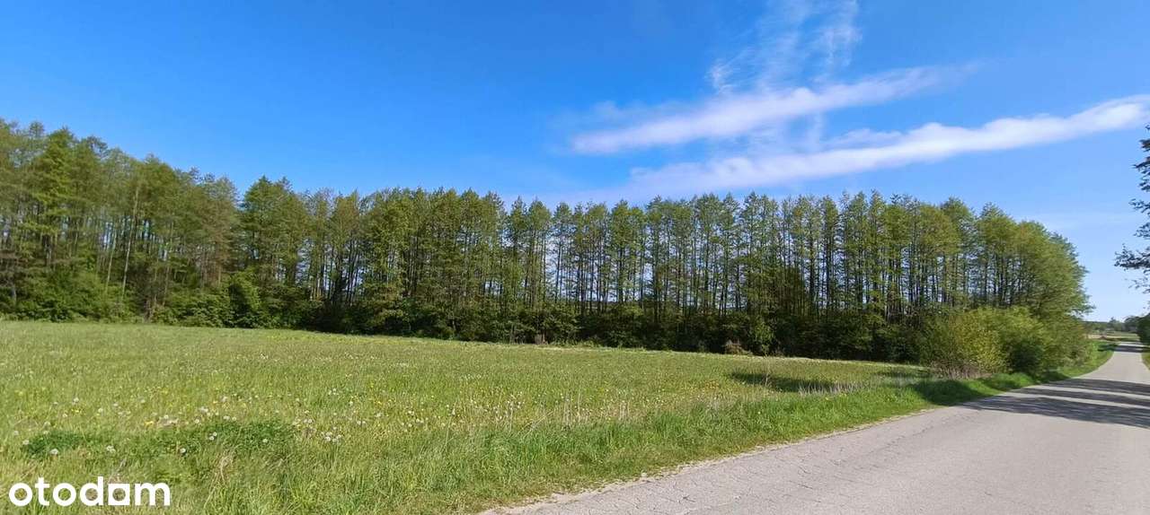 Działka rolna Bilminy i Palestyna - Pełny obrazek: 4/4