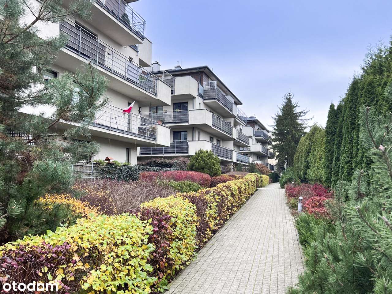 | 2-stronne | balkon + taras  | 3-pokojowe |-18