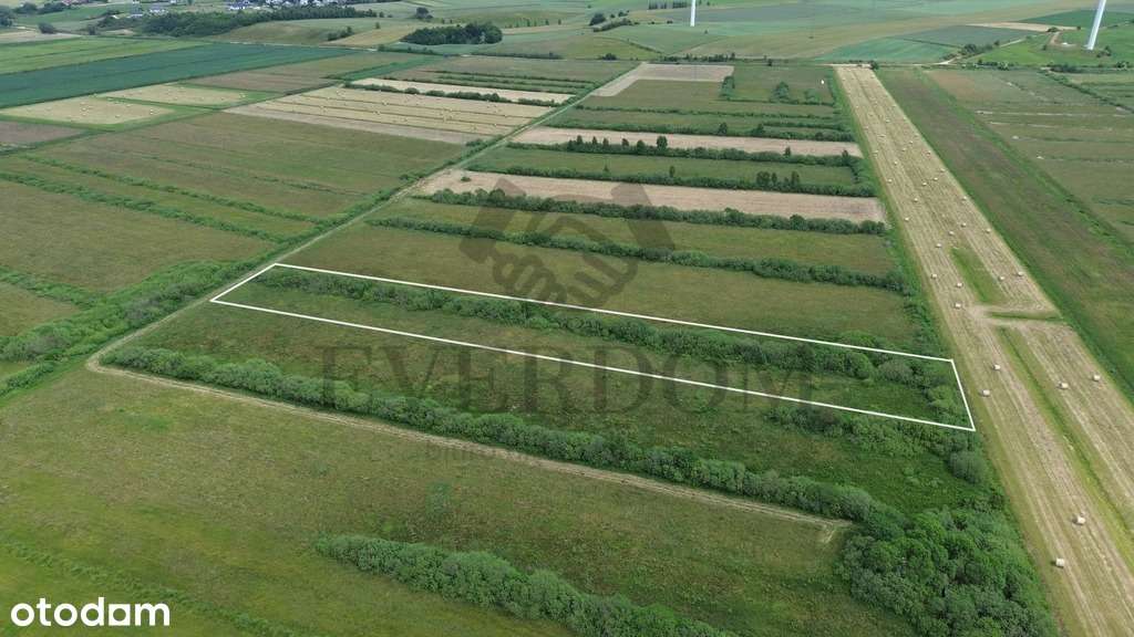 Działka rolna Gnieżdżewo 6000m2 - Pełny obrazek: 3/9