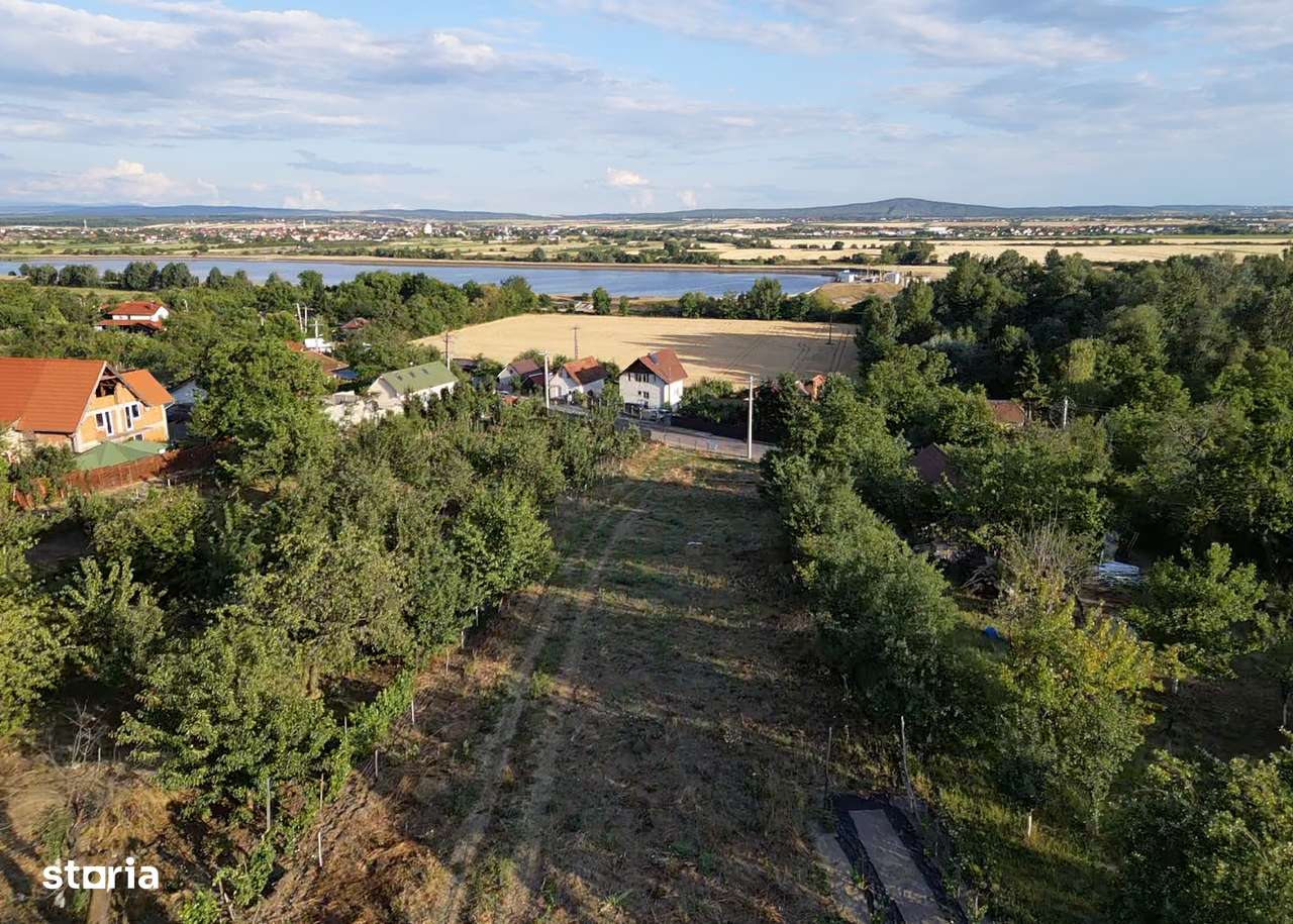 Teren intravilan 3.300 mp  in Podgoria - IMOBIHOR - Imagine principală: 4/6