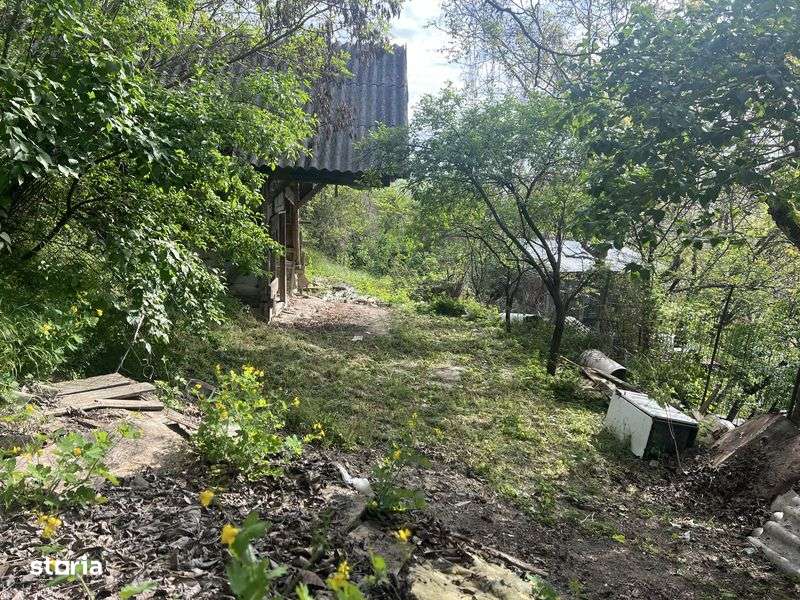 Vand casa demolabila zona Grigorescu cu 800mp teren - Imagine principală: 4/7