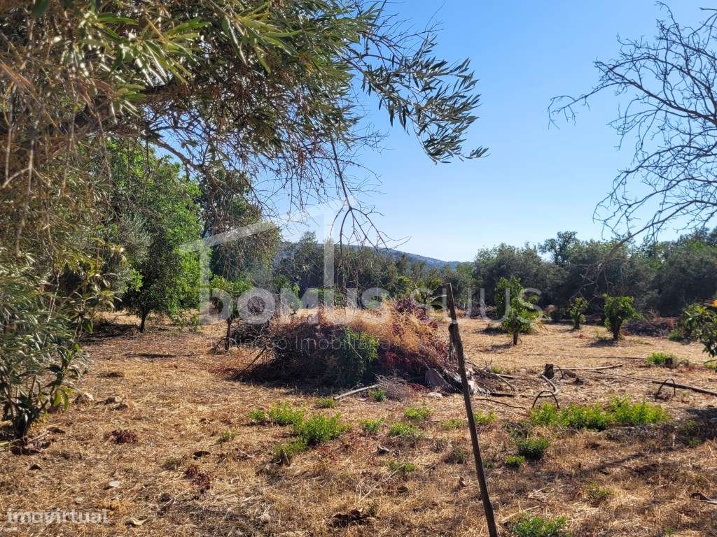 Terreno para construção de moradia - Grande imagem: 4/5