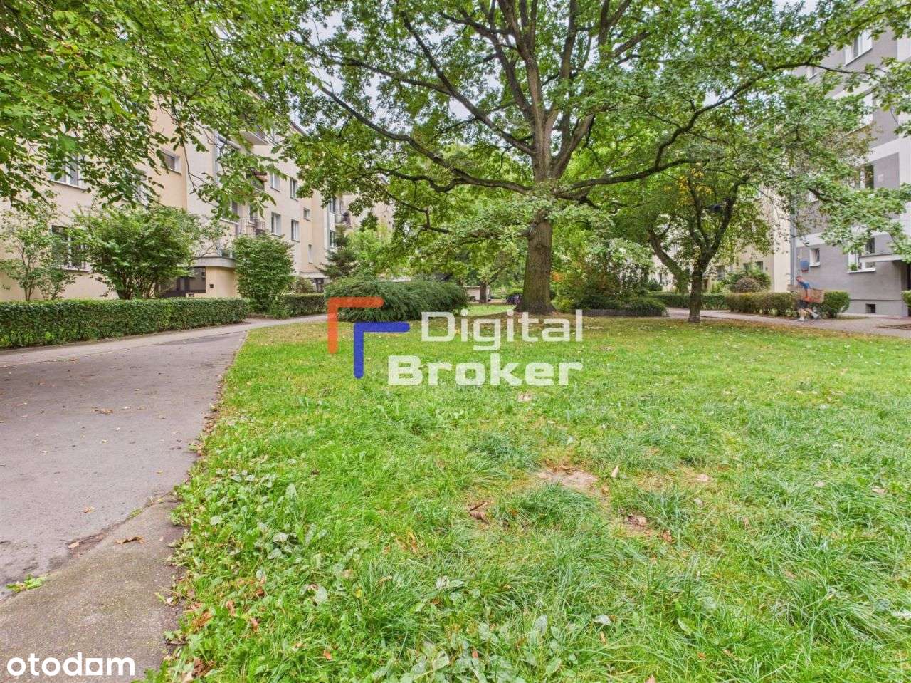 ⭐️Wum⭐️Dla rodziny⭐️Duża piwnica⭐️Ochota⭐️-19