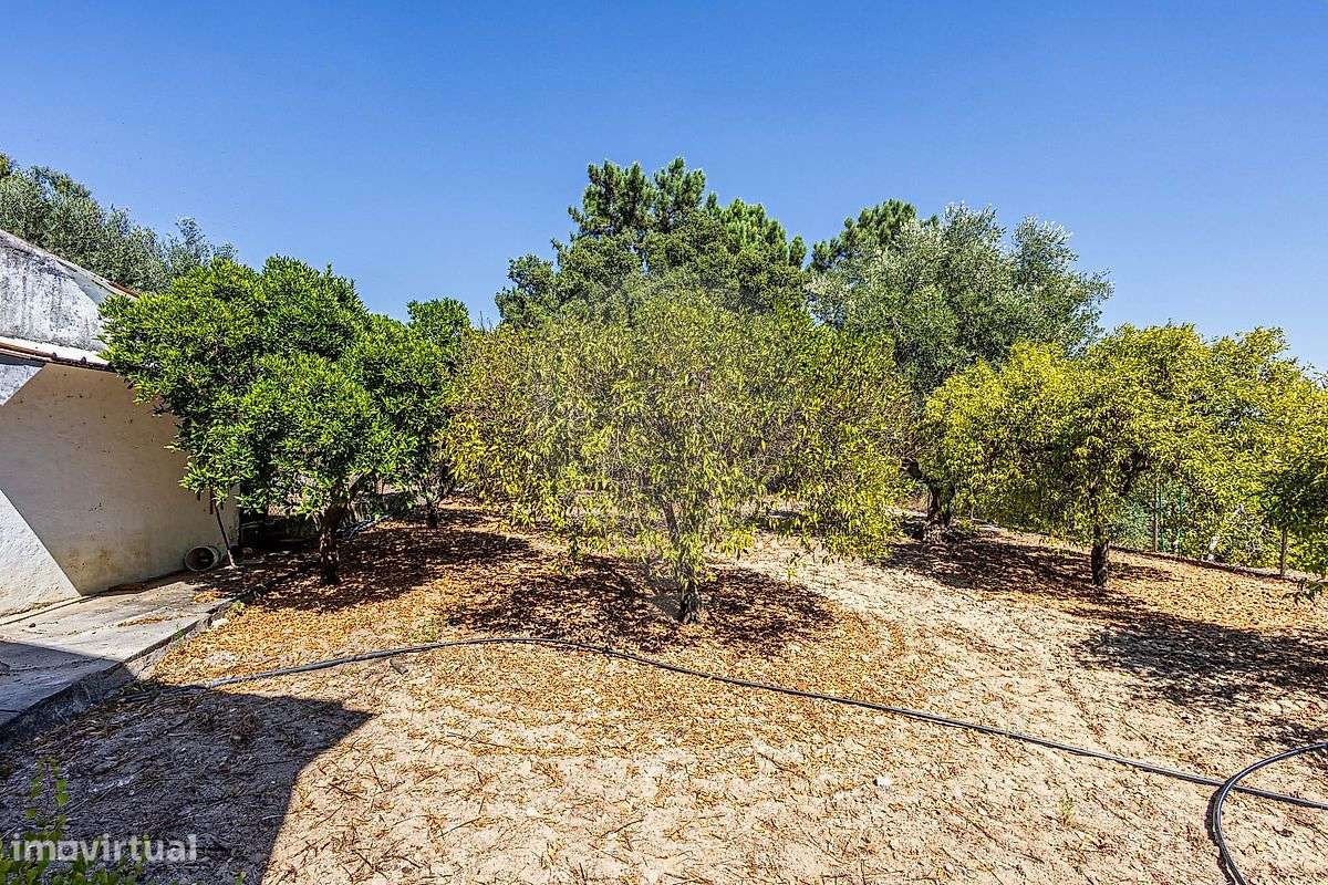 Moradia T3 para venda - Grande imagem: 3/35