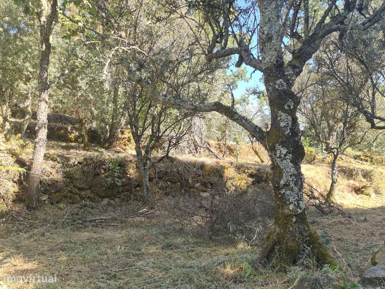 Marvão - Moradia ant. 1951 - Lote 2878 m2, Serra S. Mamede-13
