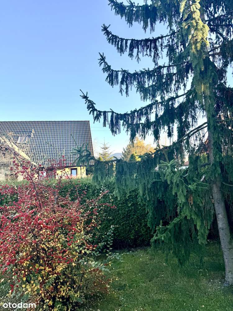 Wojcieszyce-parterowy dom wolnostojący na dużej działce, fotowoltaika-5