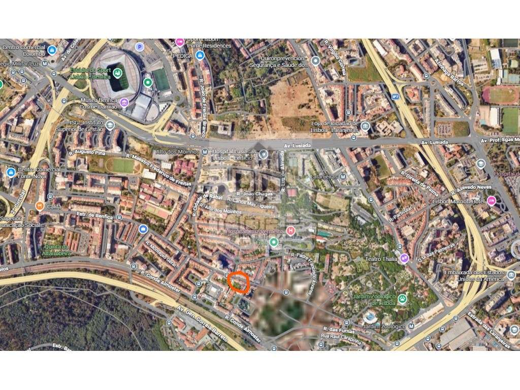 Espetacular T1 remodelado com logradouro em Benfica-24