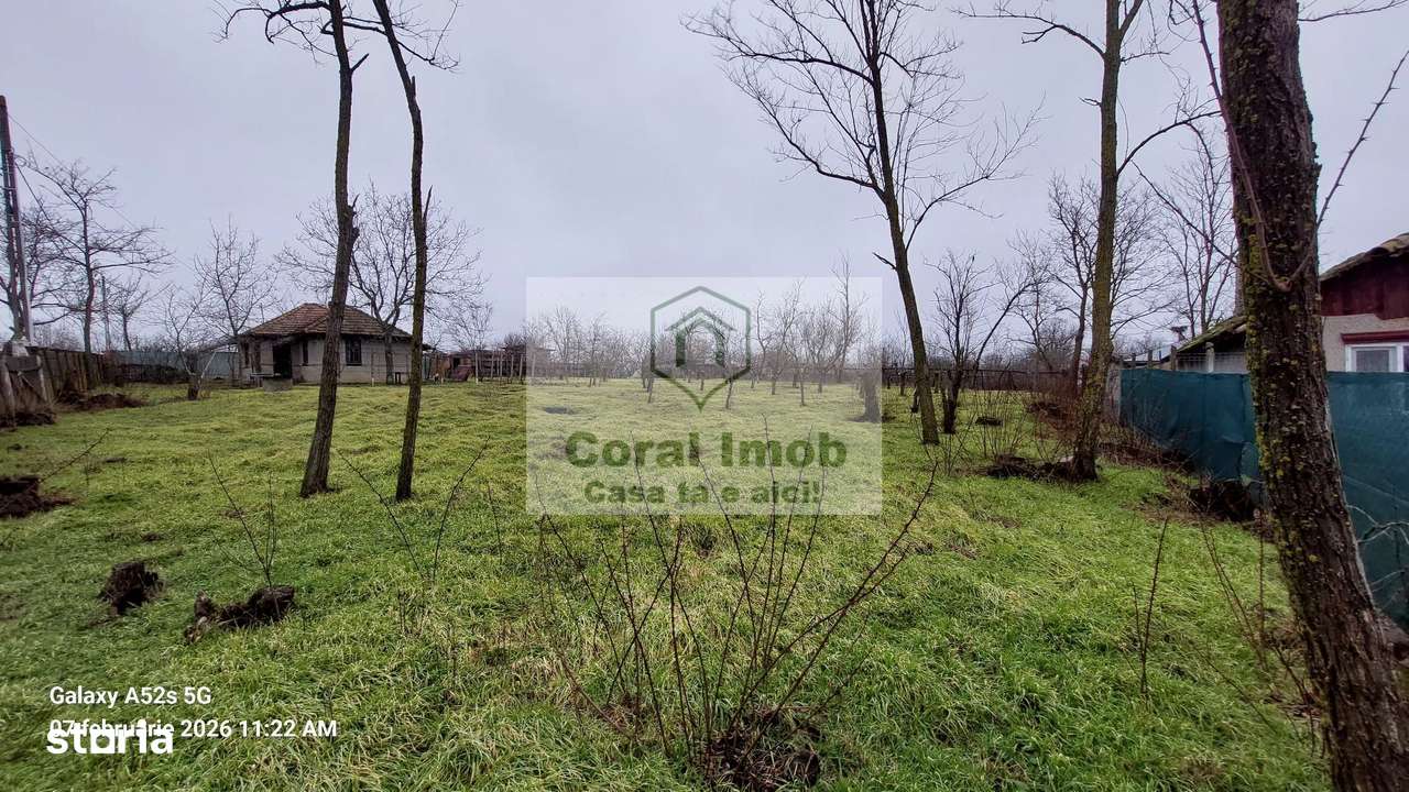 Vanzare casa de paianta la 10 km de Urziceni, Ialomita-12