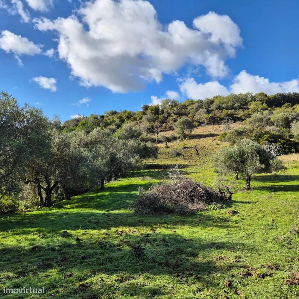Terreno Rústico na Amendoeira - Estoi - Grande imagem: 5/10