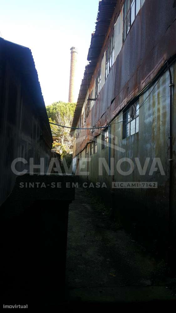Prédio para reabilitar c/ PIP Aprovado na Baixa do Porto-29