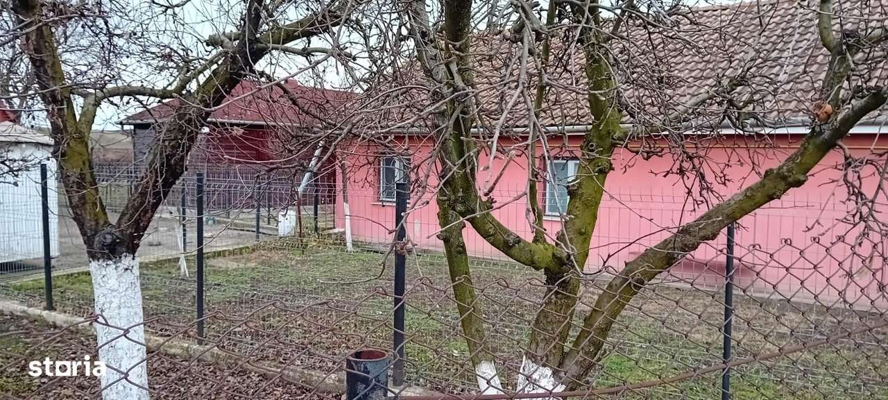 OFERTĂ in Băcia, Hunedoara ! Proprietate 2 case + Cabană + Livadă-17