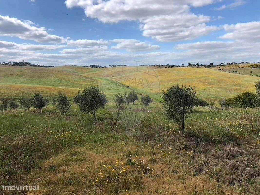 Quinta T6 para venda-14