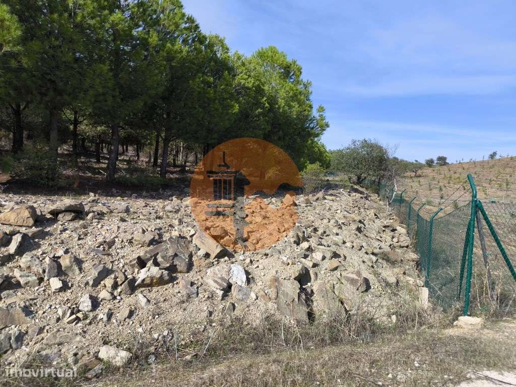 TERRENO COM 16.000 M2 - PLANO - ELETRICIDADE - TORNEIRO EM ALCOUTIM... - Grande imagem: 4/33