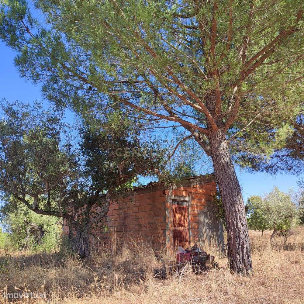 Terreno Rústico em Tinalhas, Castelo Branco - Grande imagem: 2/15