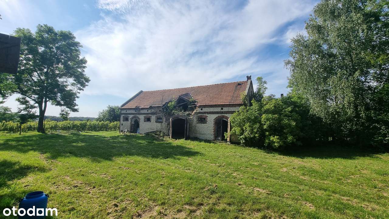 Na sprzedaż winnica + działka inwestycyjna hotel gastronomia Uniejów-6