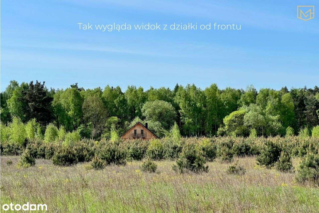 Działka budowlana z Wz | 2066 m² | Sadowie | Media - Pełny obrazek: 5/6