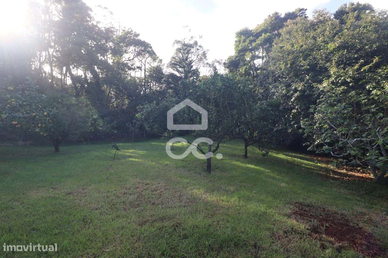 Moradia com 4 Quartos e Anexo T1  - São Vicente Ferreira - Ponta Delga-35