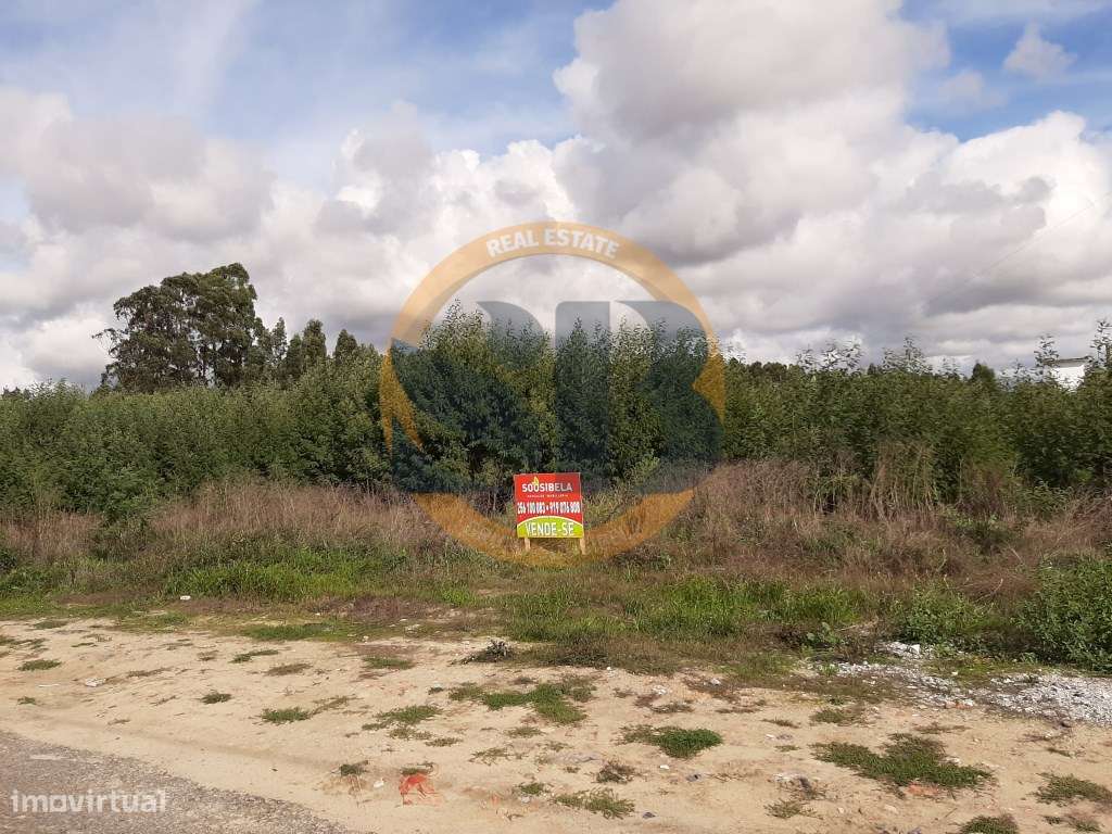 Terreno Construção Ovar - Grande imagem: 4/4