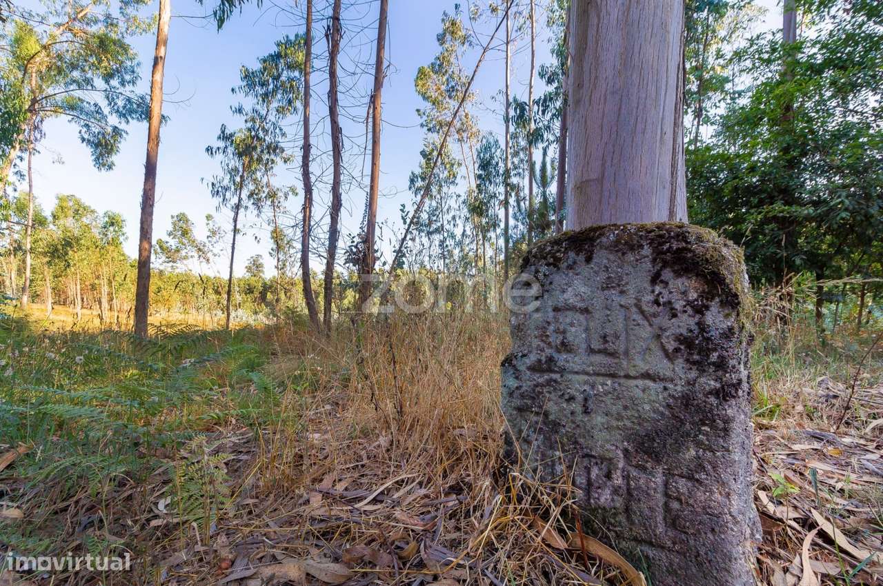 Terreno Rústico com 7.900 m2 em Monte Córdova - Santo Tirso - Grande imagem: 3/11