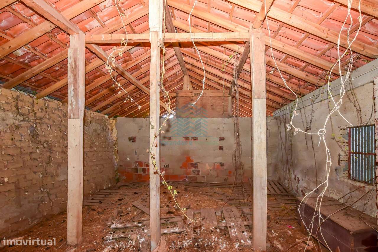 Quinta para remodelar - Torres Novas-12