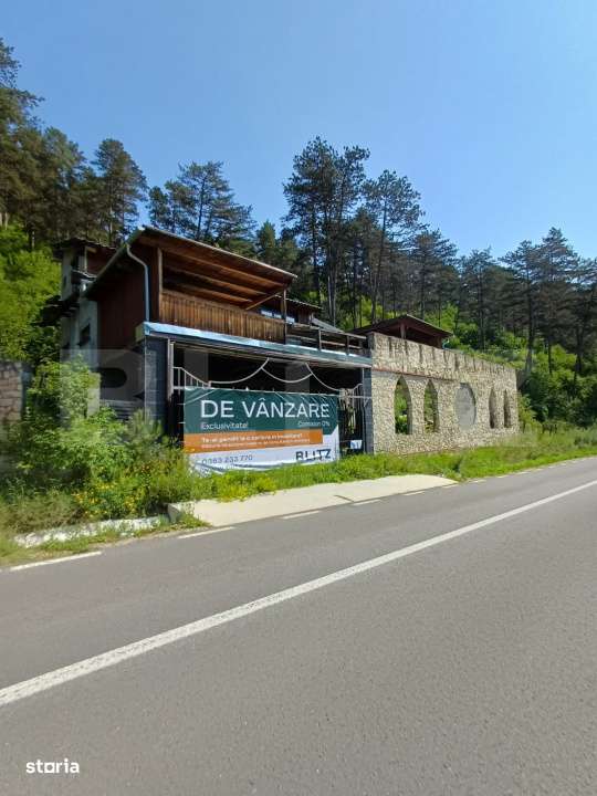 Oportunitate!!! Casa individuala la rosu, 247 mp, Teren 5000 mp in Sur - Imagine principală: 5/9