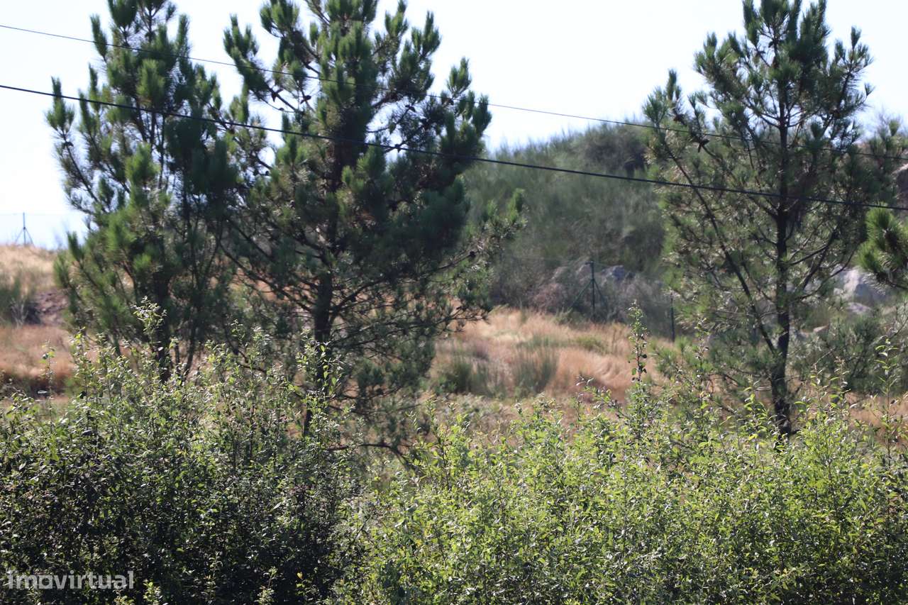 Lote de Terreno  Venda em Lustosa e Barrosas (Santo Estêvão),Lousada - Grande imagem: 4/9