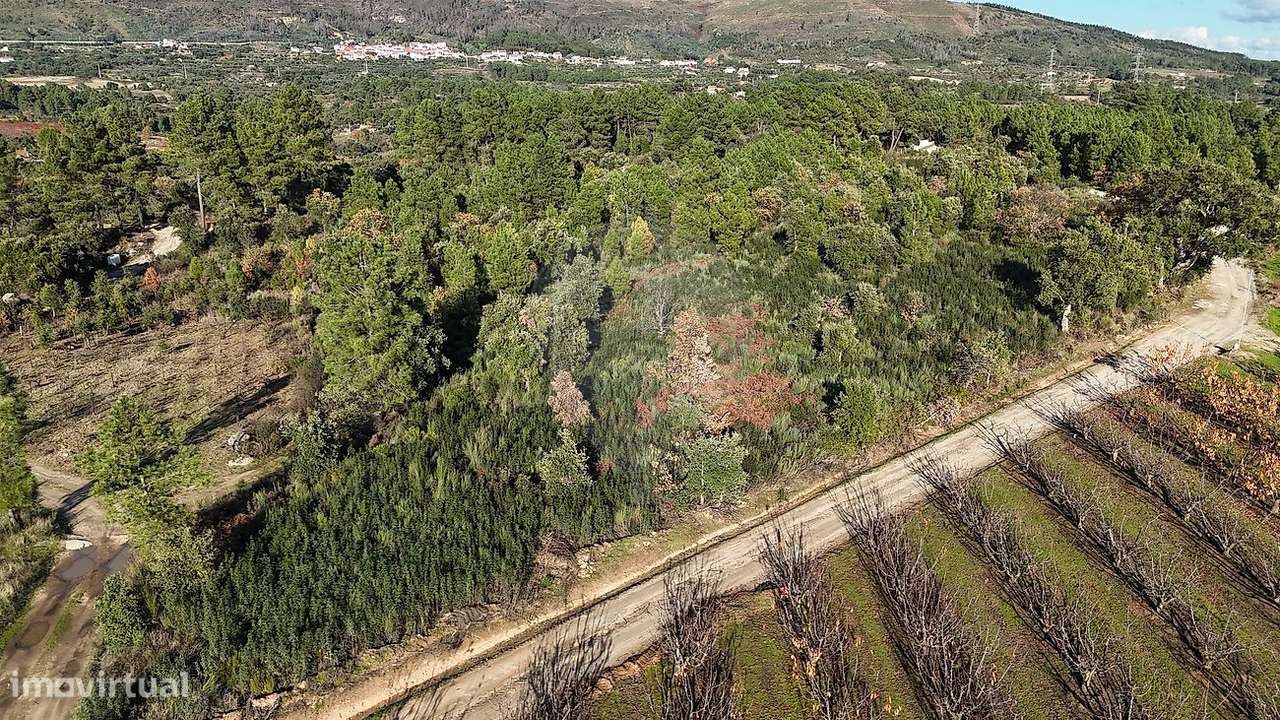 Terreno  para venda - Grande imagem: 3/14