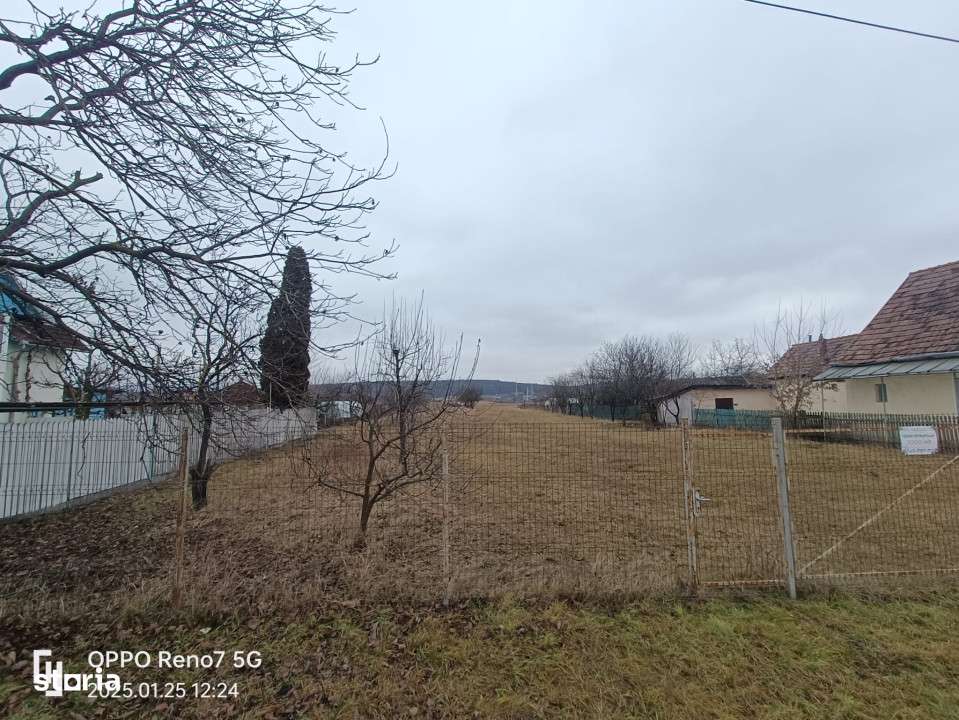 Teren de vanzare -Reghin - Iernuţeni 7000 mp - Imagine principală: 2/4