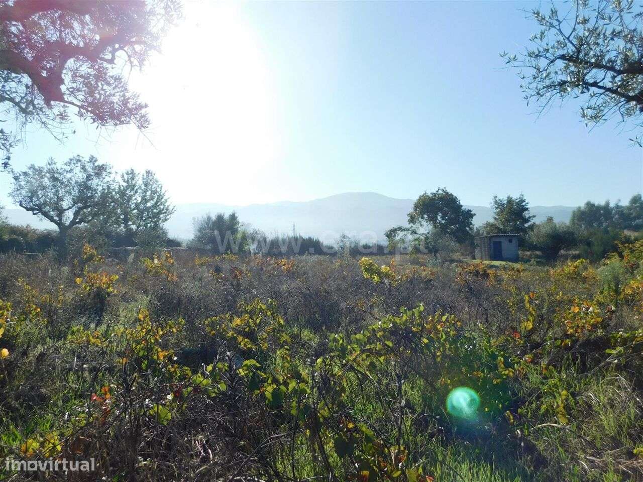 Terreno / Seia, Santa Marinha e São Martinho - Grande imagem: 2/15