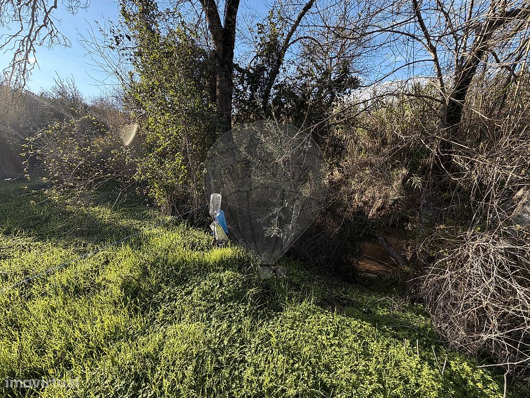 Terreno  para venda - Grande imagem: 5/9