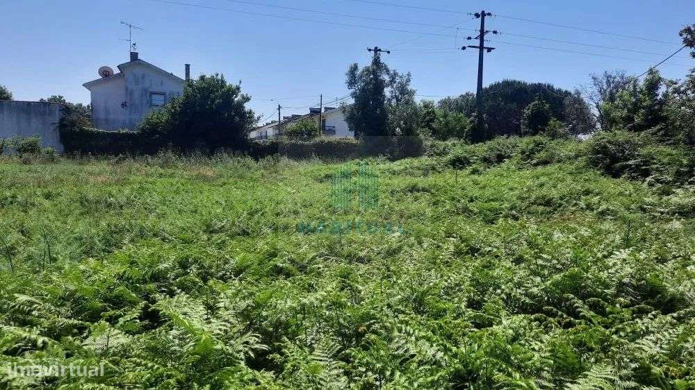 TERRENO EM SANTA MARTA COM 1800 M2 - Grande imagem: 3/7