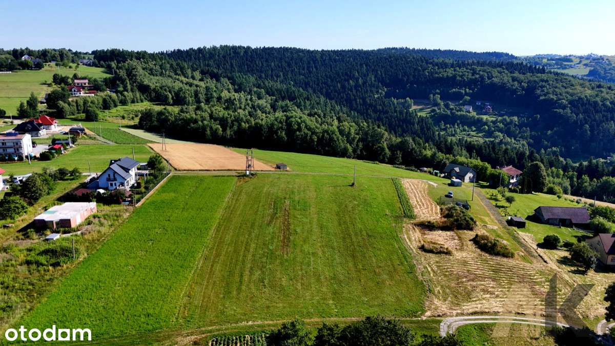 Widokowa działka w Paszynie gm. Chełmiec - Pełny obrazek: 4/18