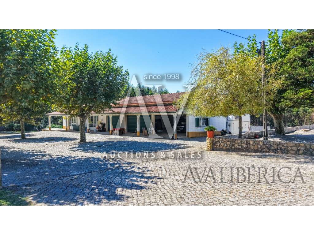 Quinta com 3,14 Hectares e Piscina | Ferreira do Zêzere-45