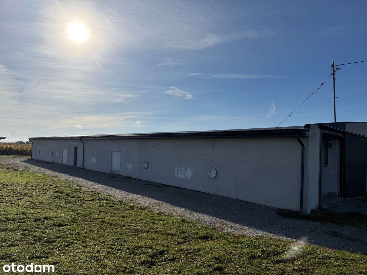 Hala/Magazyn 800m² z monitoringiem i mediami - Pełny obrazek: 4/19