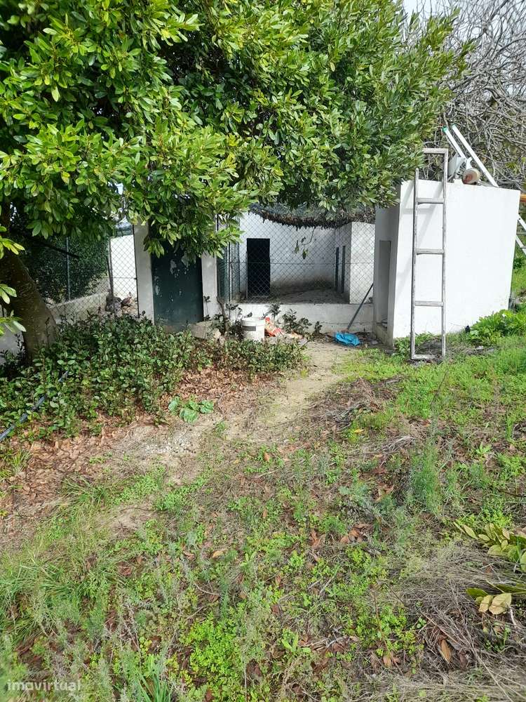 Azeitão/ Parque Natural Arrábida Quinta 7250 m2 com Moradia-41