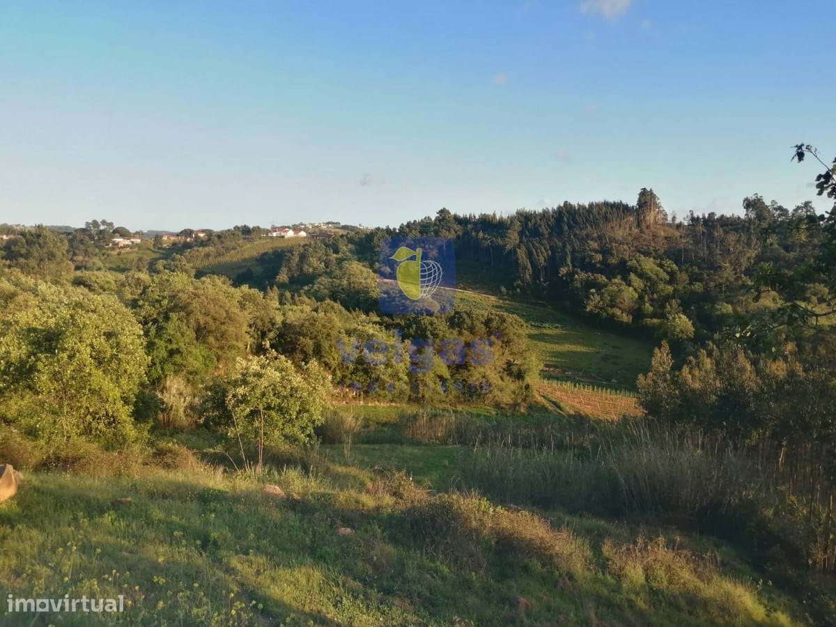 Terreno na Laranjeira de Alvorninha - Grande imagem: 2/6