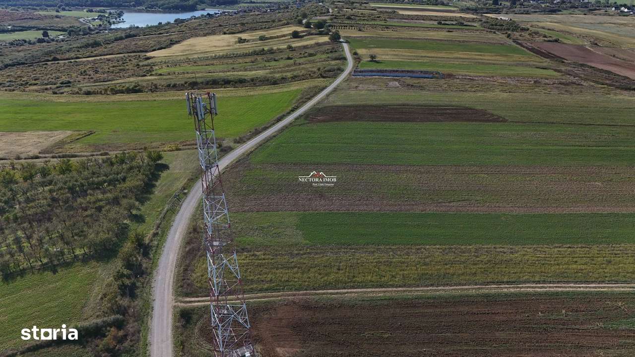 NECTORA IMOB-Teren Saldabagiu de Munte, aproape de Lac Paleu, 2880mp - Imagine principală: 5/12
